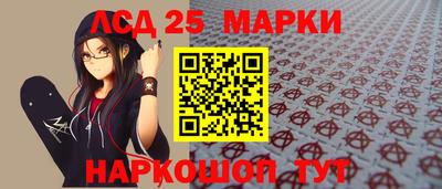 гидропоника Новозыбков