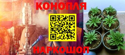 гидропоника Новозыбков