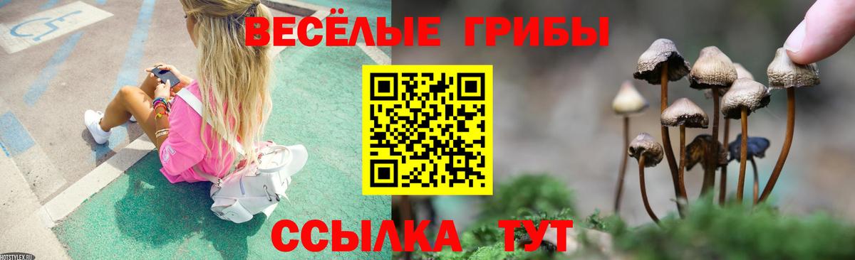 Псилоцибиновые грибы Psilocybe Урюпинск